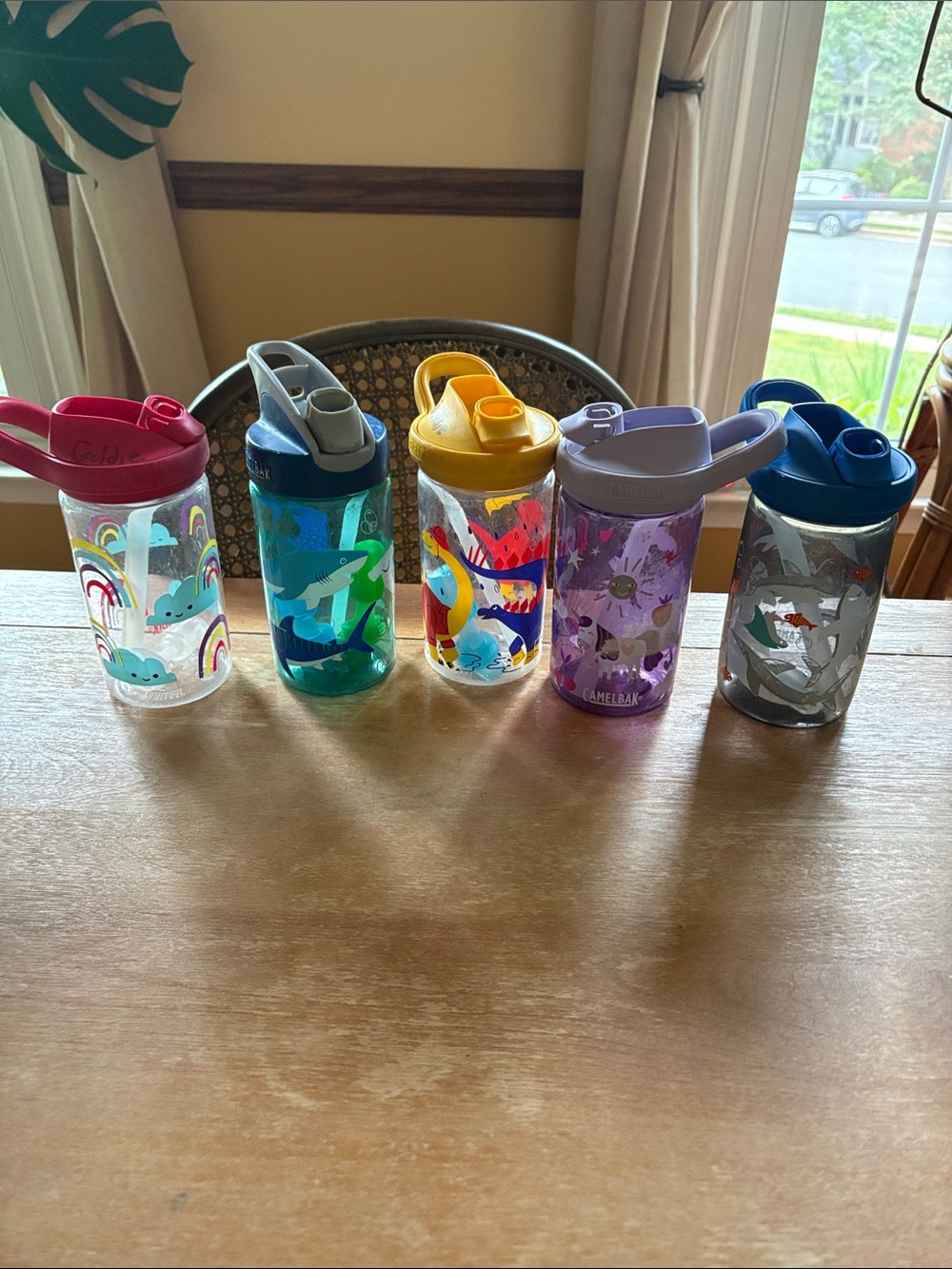 Colorful Kids Water Bottle Set with Animal & Sea Designs